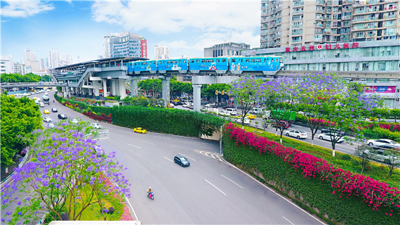 袁家岗堡坎立体绿化 九龙坡城市管理局供图 华龙网发